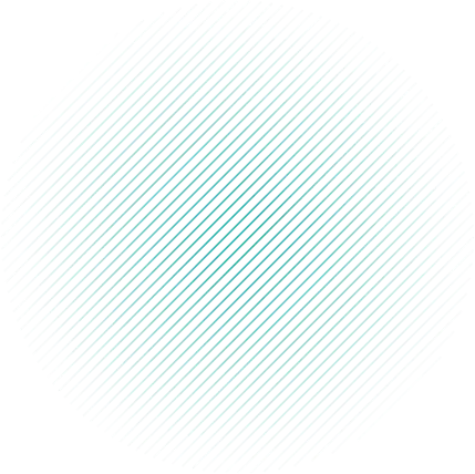 多多28